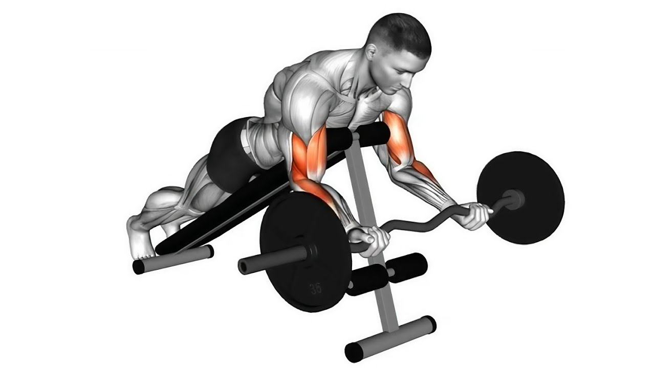 Do This 6 killer Exercises For Bigger Biceps 