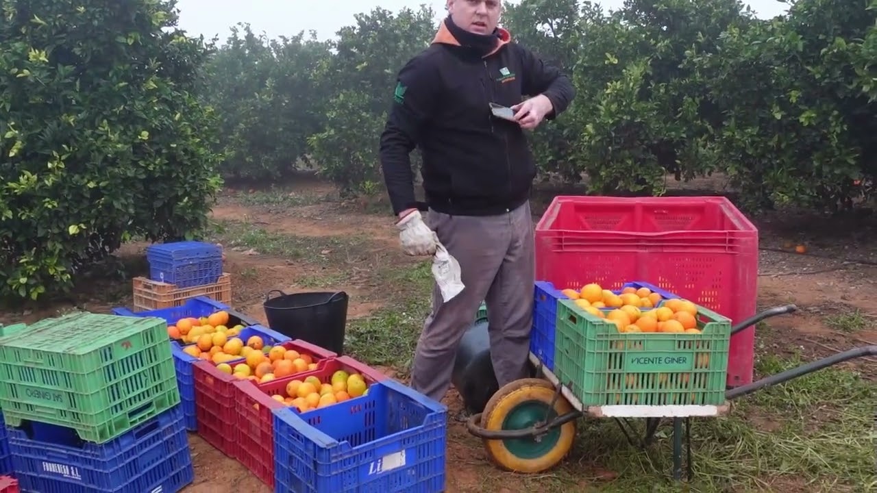 Un día de los de antes de la riada