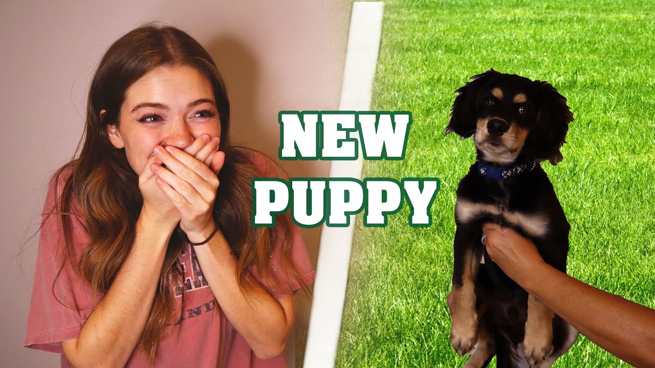 MEETING THE NEW PUPPY!!