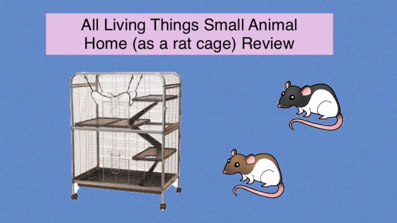 All Living Things Small Animal Cage (as a rat cage) Review