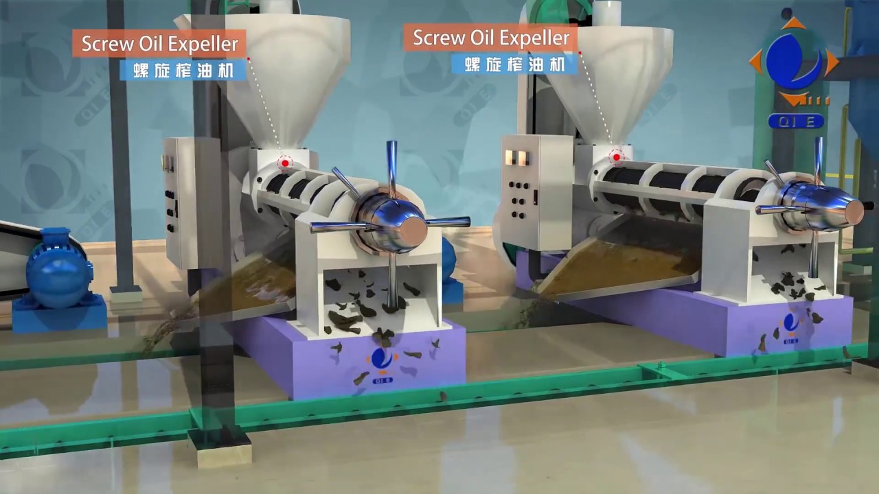 50TPD Peanut Oil Extraction Plant