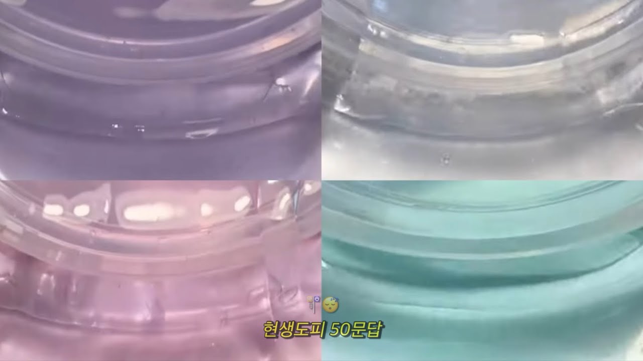 현생도피 50문답 ⛤ | 소시액 액괴 초코 문답 