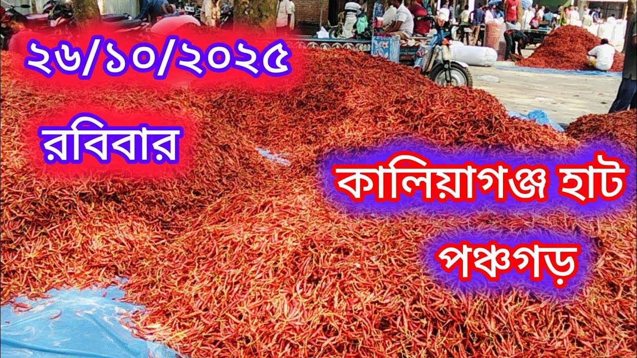 ২৬/১০/২০২৫ কালিয়াগঞ্জ হাট পঞ্চগড় 