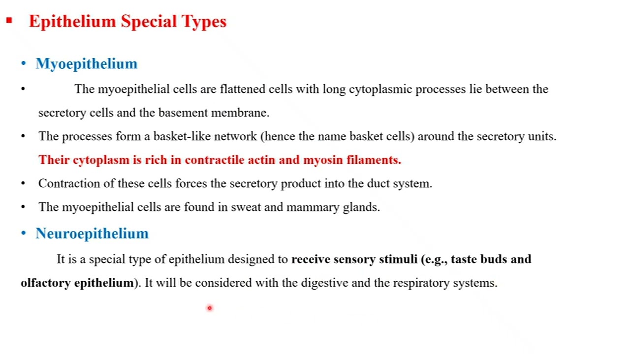 Animal Histology Cells & Tissues Lecture 8