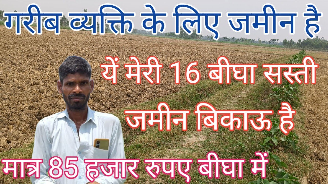 16 Bigha Affordable Land for Sale, Price 85 Thousand Rupees per Bigha, 2 Permanent Borewells Free...