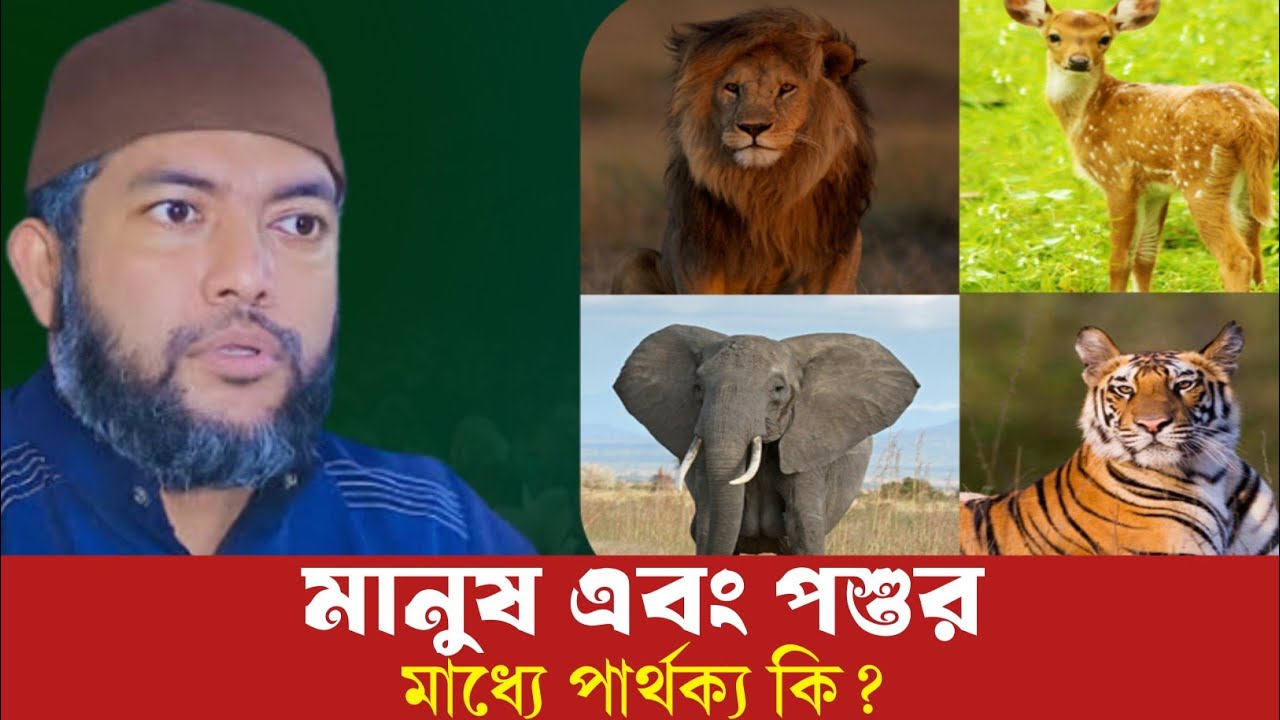 মানুষ এবং পশুর মধ্যে পার্থক্য কি | Mohammed Saiful Azam Al-Azhary | সাইফুল আজম আল আজহারী