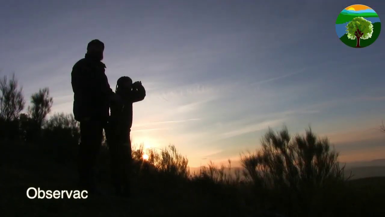 V&iacute;deo Guarda Rural
