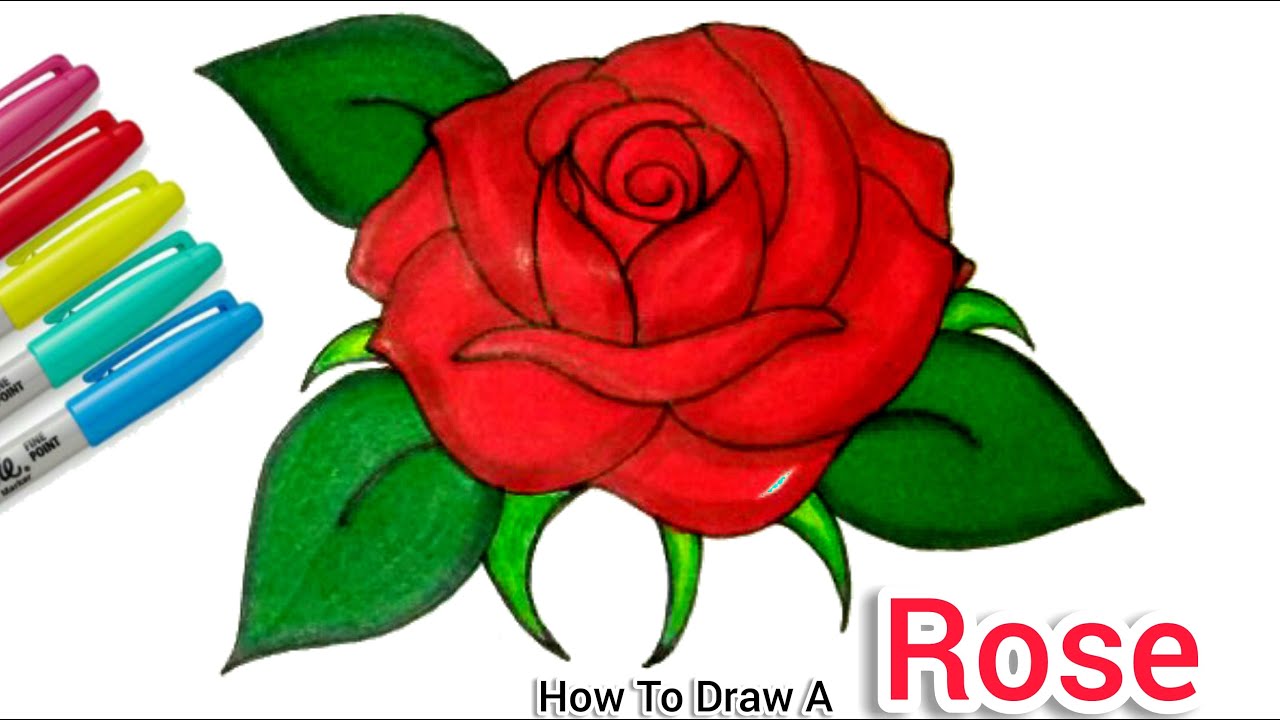 How To Draw + Colour A Rose / Open Rose Step by Step For Beginners | Cartooning cute drawings