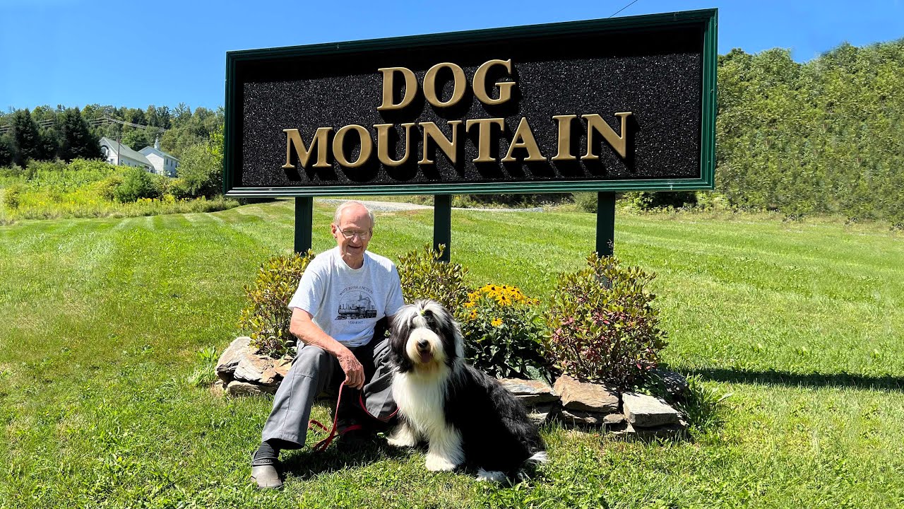 Briggs Goes To Dog Mountain
