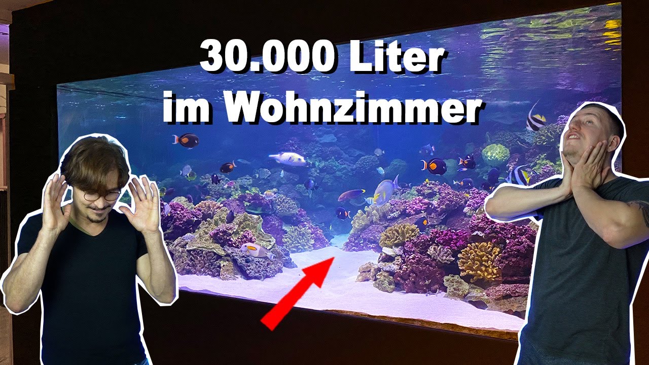 AQUARIEN TRAUMHAUS - 37.000 Liter Meerwasseraquarien *crazy*