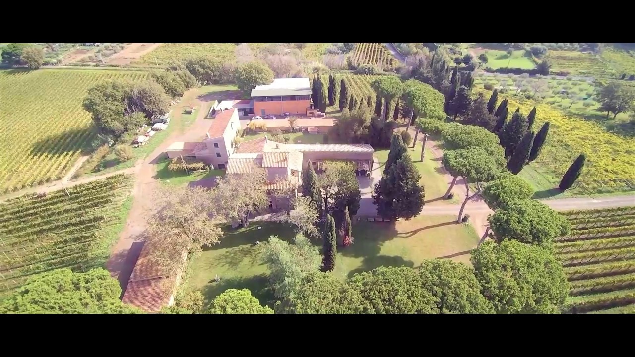 CASTELLI ROMANI, AZIENDA AGRICOLA E VITIVINICOLA IN VENDITA CON CASALE