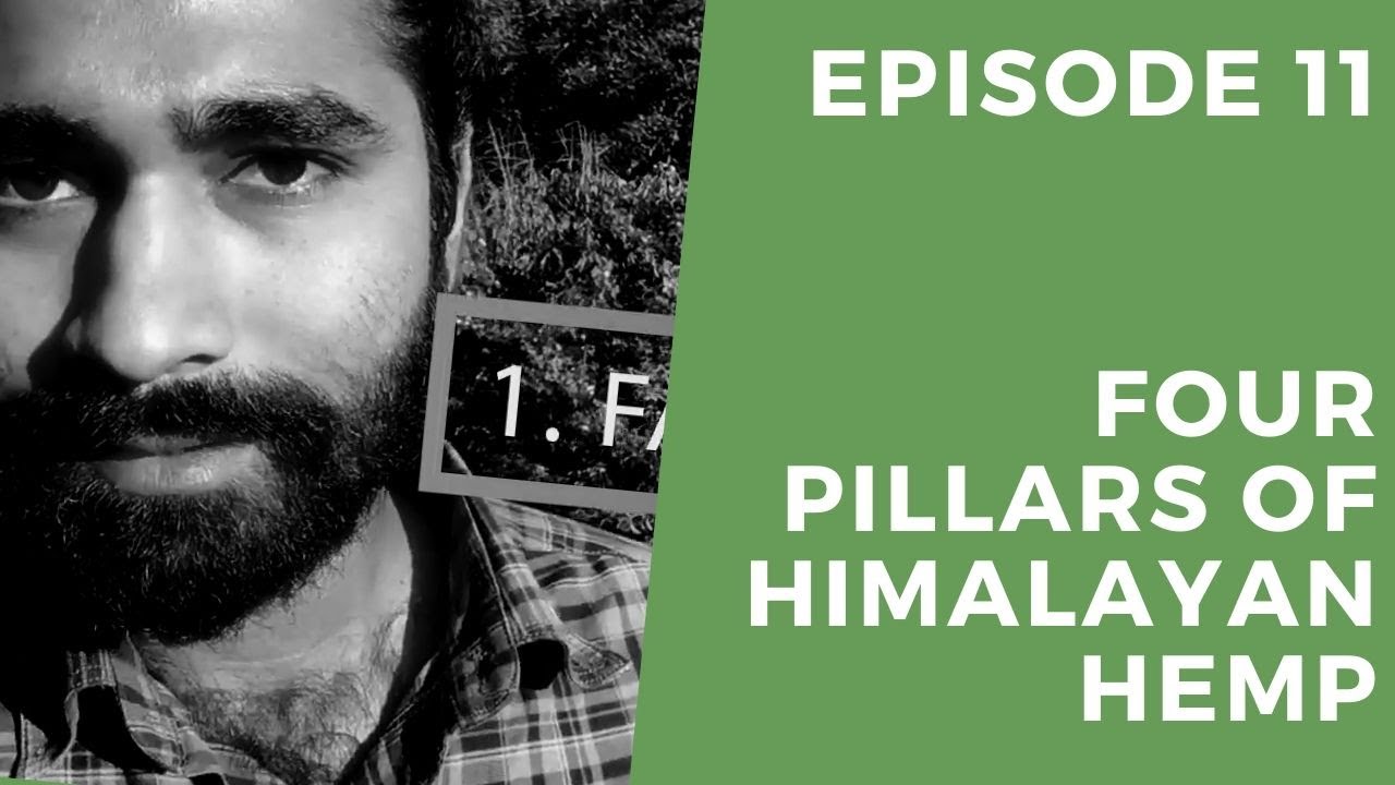 Four Pillars of Himalayan Hemp - Vlog Episode 11
