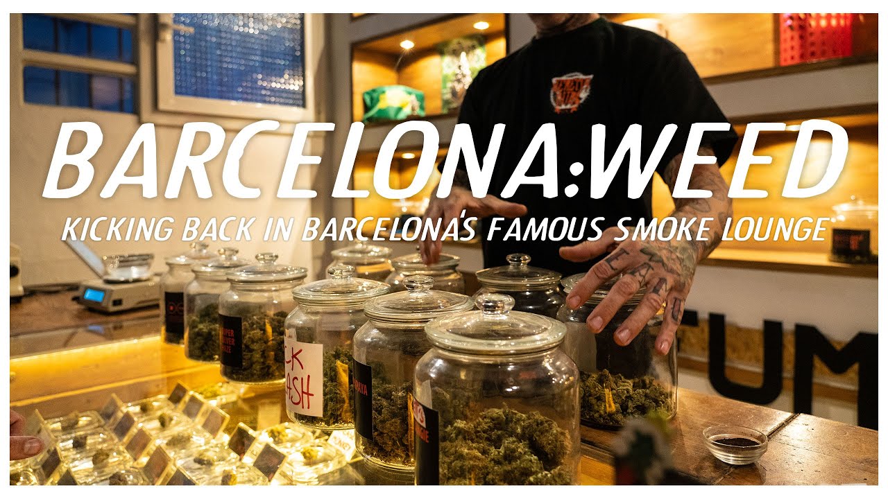 Barcelona Weed: inside one of Barcelona's famous marijuana smoking lounges with a local.