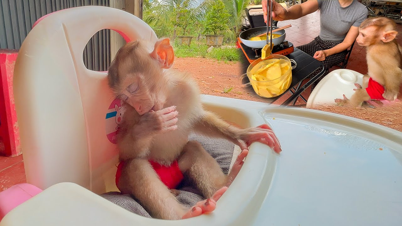 Monkey YuYu fell asleep while cooking with Mom outdoors!