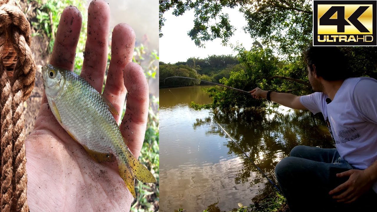 PESCARIA DE LAMBARI! PESCANDO, LIMPANDO E FRITANDO