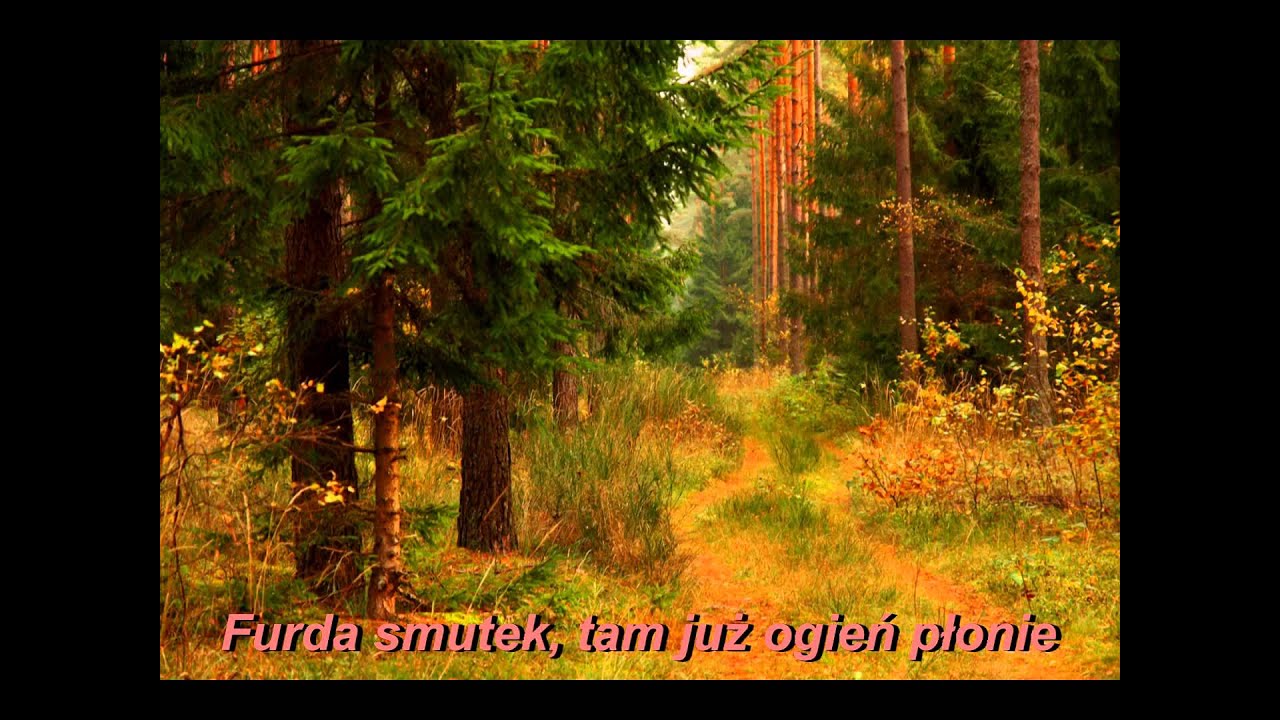 Pieśń myśliwska