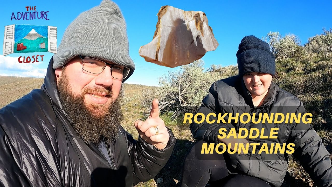 Rockhounding Central Washington's SADDLE MOUNTAIN for petrified wood & Carnelian | Minivanlife