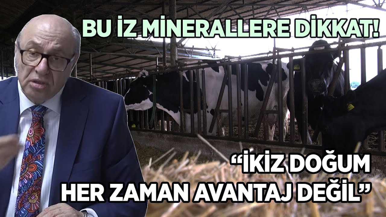 Bu İz Minerallere Dikkat! / “İkiz Doğum Her Zaman Avantaj Değil”
