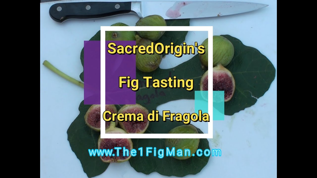 Crema di Fragola