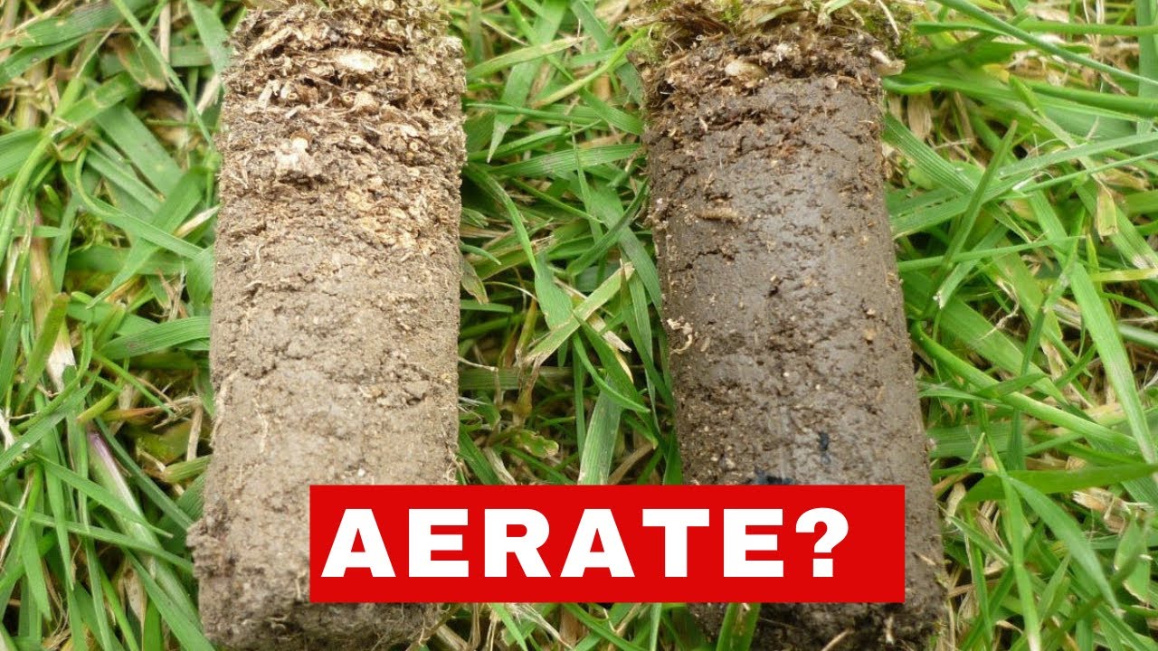 Compaction: The #1 Reason Your Lawn Wont Grow