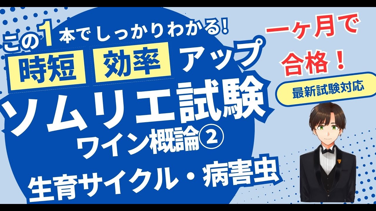 【語呂ワイン／ソムリエ・ワインエキスパート試験】ワイン概論②〜ぶどうの生育サイクル＆病虫害、生育障害