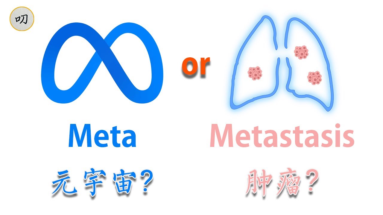 什么是元宇宙？什么是Meta？| 虚拟世界，真的属于我们吗？会化解这个世界无法解决的问题吗？