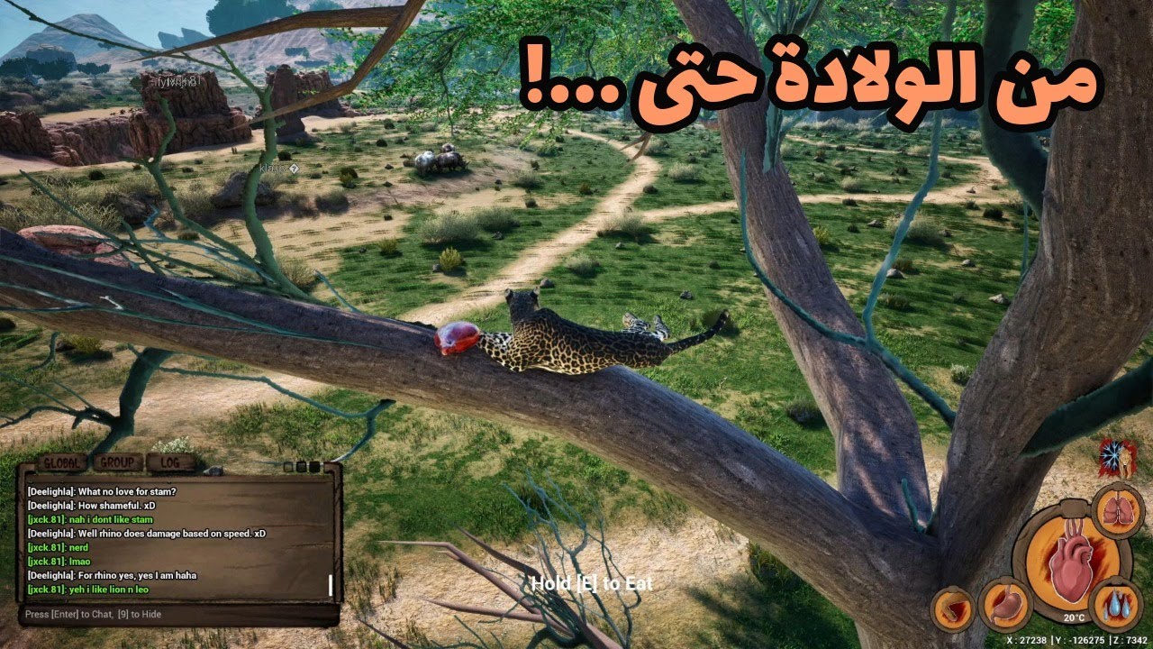 انيميليا سيرفايفل حياة الفهد #18  I  من الولادة حتى ...!  Animalia Survival I