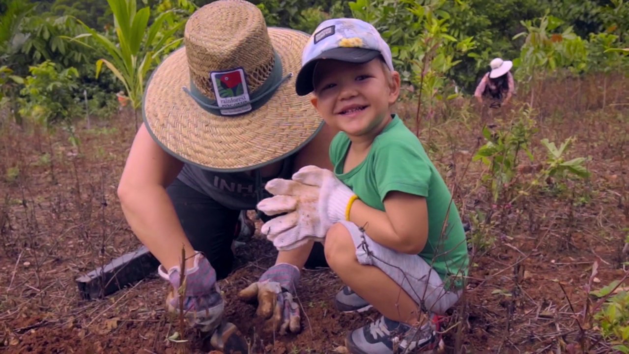 Rainforest Rescue Community Tree Planting 2019 at NightWings Rainforest Centre, Wonga.