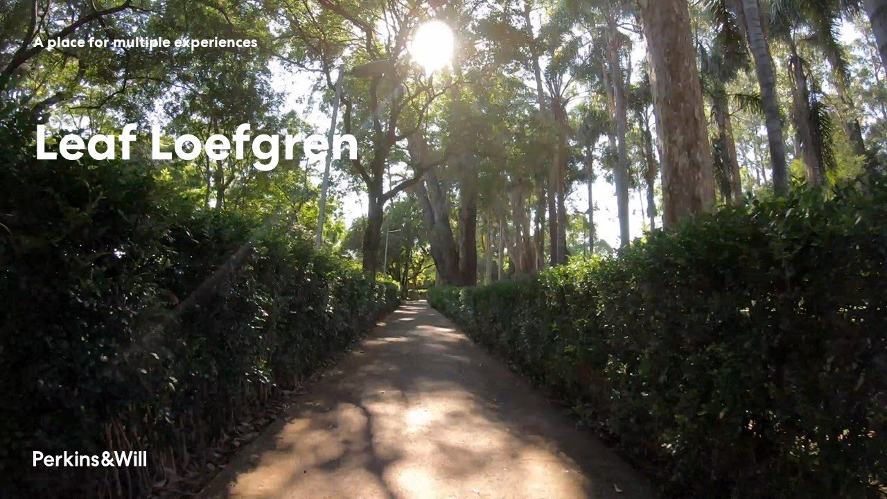 Leaf Loefgren | Perkins&Will S&atilde;o Paulo