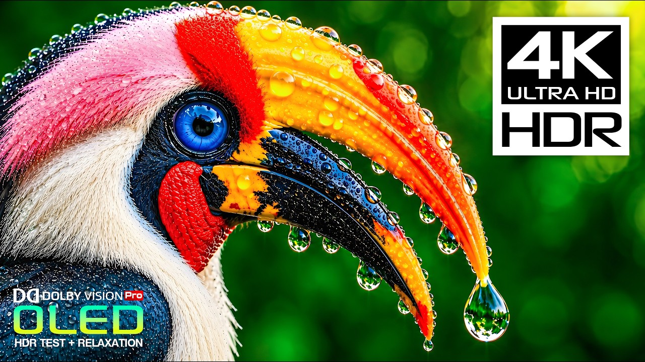 Amazing Nature Video 4K HDR 120FPS | Dolby Vision Ultra HD (8K/4K Video TV)