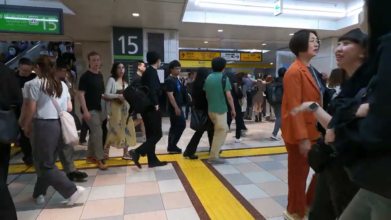Shinjuku Station Walk #15 | 新宿駅散歩 | Japan ASMR 4K | Tokyo Calm Travels And Beyond
