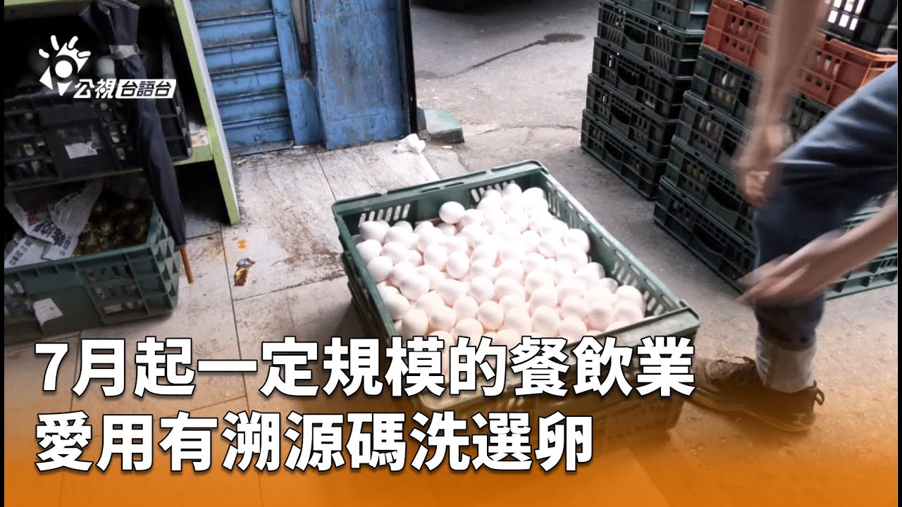 7月起一定規模的餐飲業 愛用有溯源碼洗選卵 | 公視台語台 | 20260203