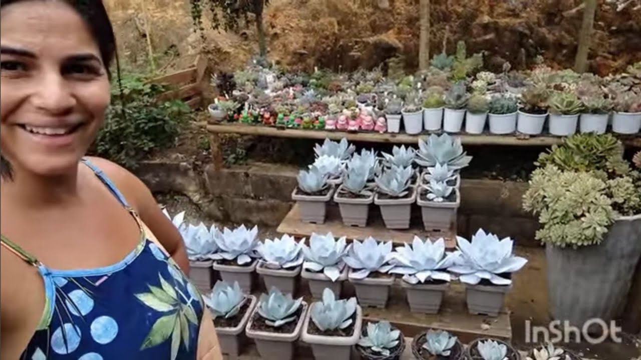 Os cuidados e manutençãos com a cante 