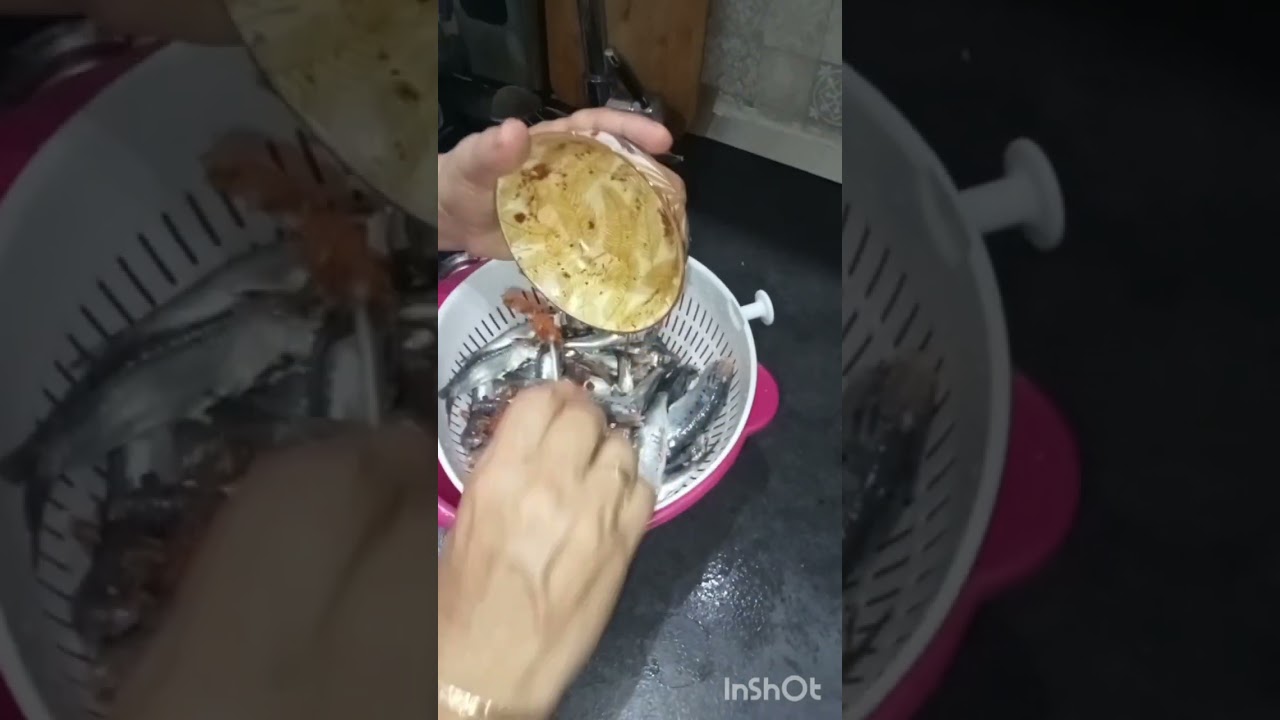 حضيرت السردين مقلى بدرسة بطبع والشان جربوه حكيمة بنت العاصمة