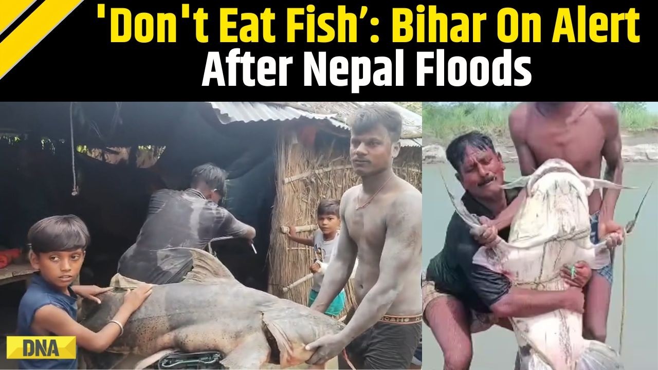 Nepal Floods: Bihar Govt Issues Advisory To People To Not 'Eat Fish Caught From Floodwaters'