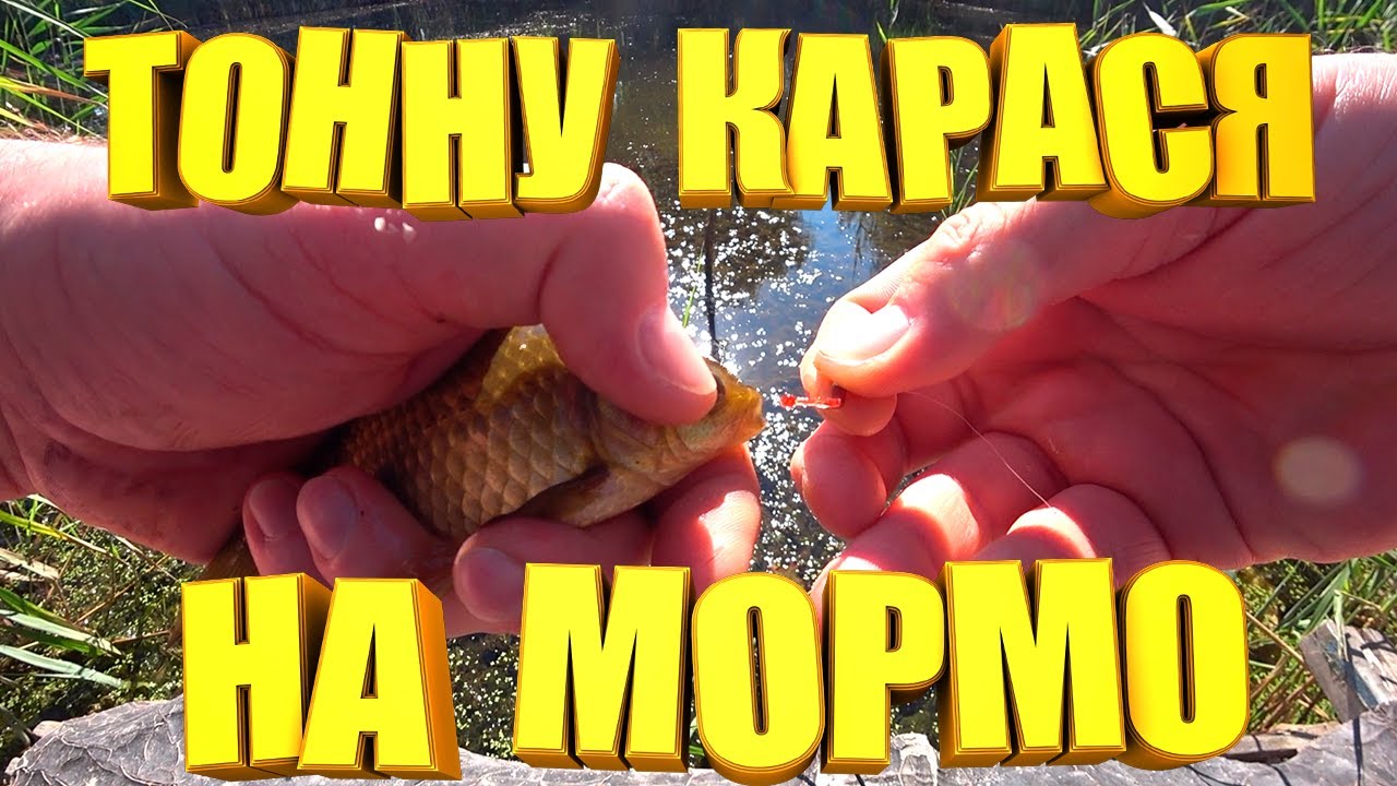 Як зловити тонну карася на МОРМО