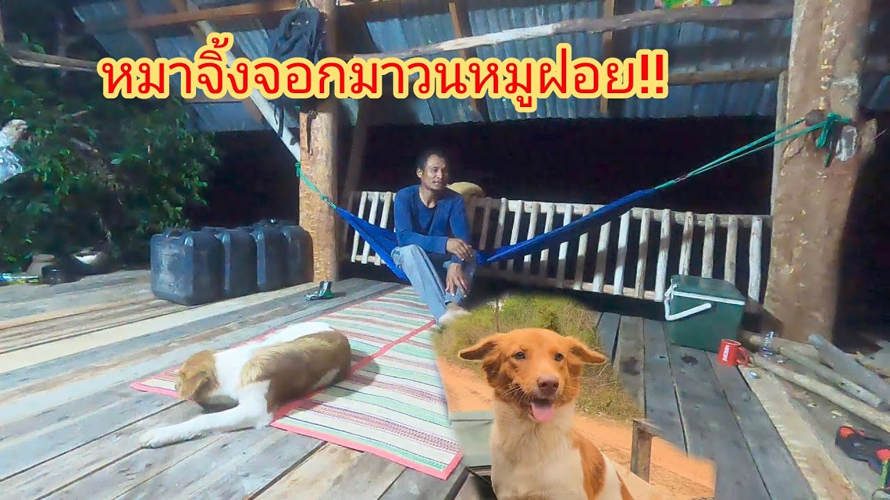 รจนายังไม่กลับ ต้องพาหมูฝอยมานอนกระท่อมหนองมะกอกด้วย 19/03/69