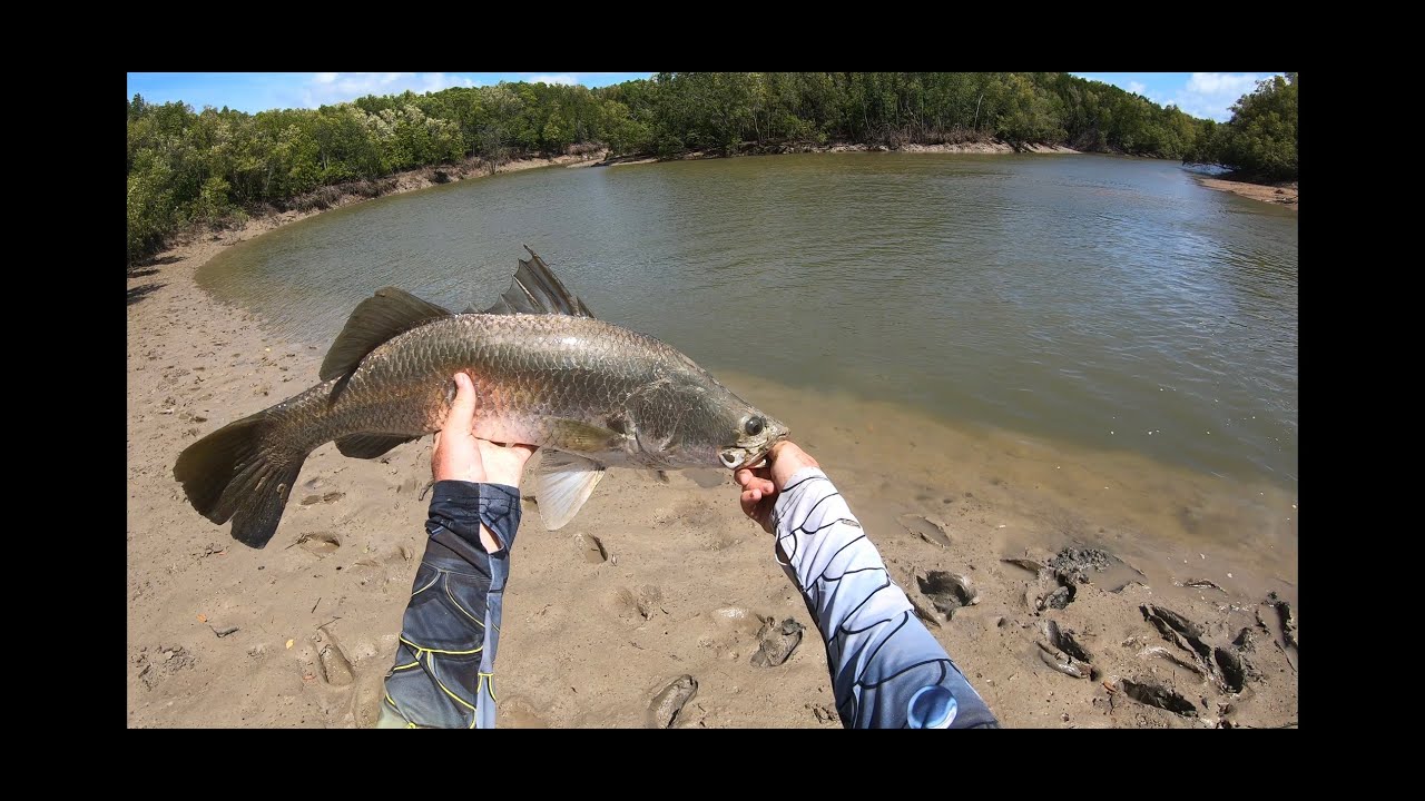 Barramundi fishing land based Darwin Northern Territory