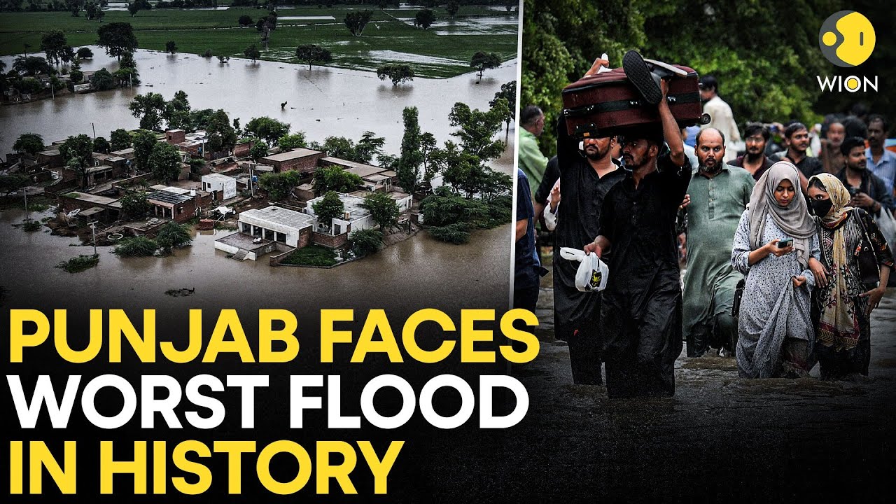 Pakistan Floods LIVE: Worst Flood Of The Century Hits Pakistan! Punjab Drowns | Floods In Pakistan