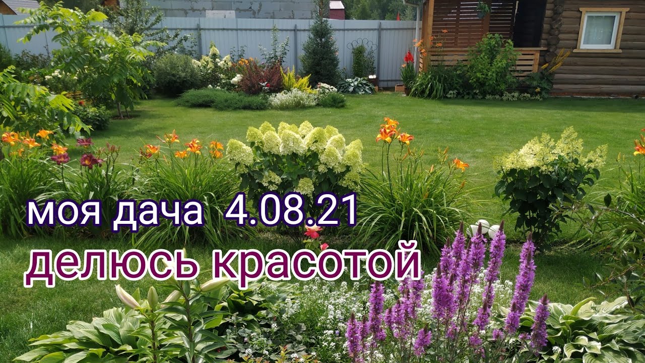 моя дача 4.08.21/делюсь красотой, приглашаю на прогулку!!!🤩🌺🌺🌺