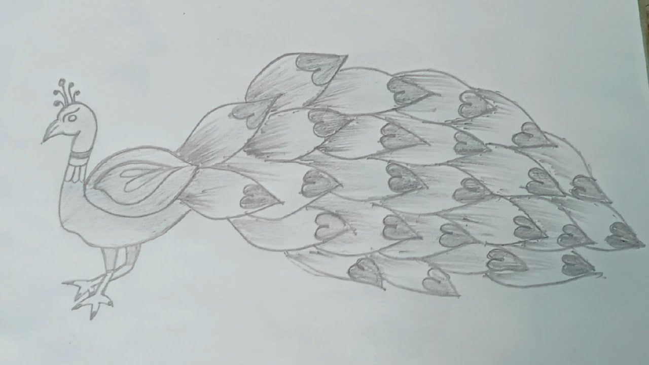 मोर का चित्र बनाना सीखे 2मिनट में#how to draw a peacock#beautiful peacock drawing#peacock pencil art