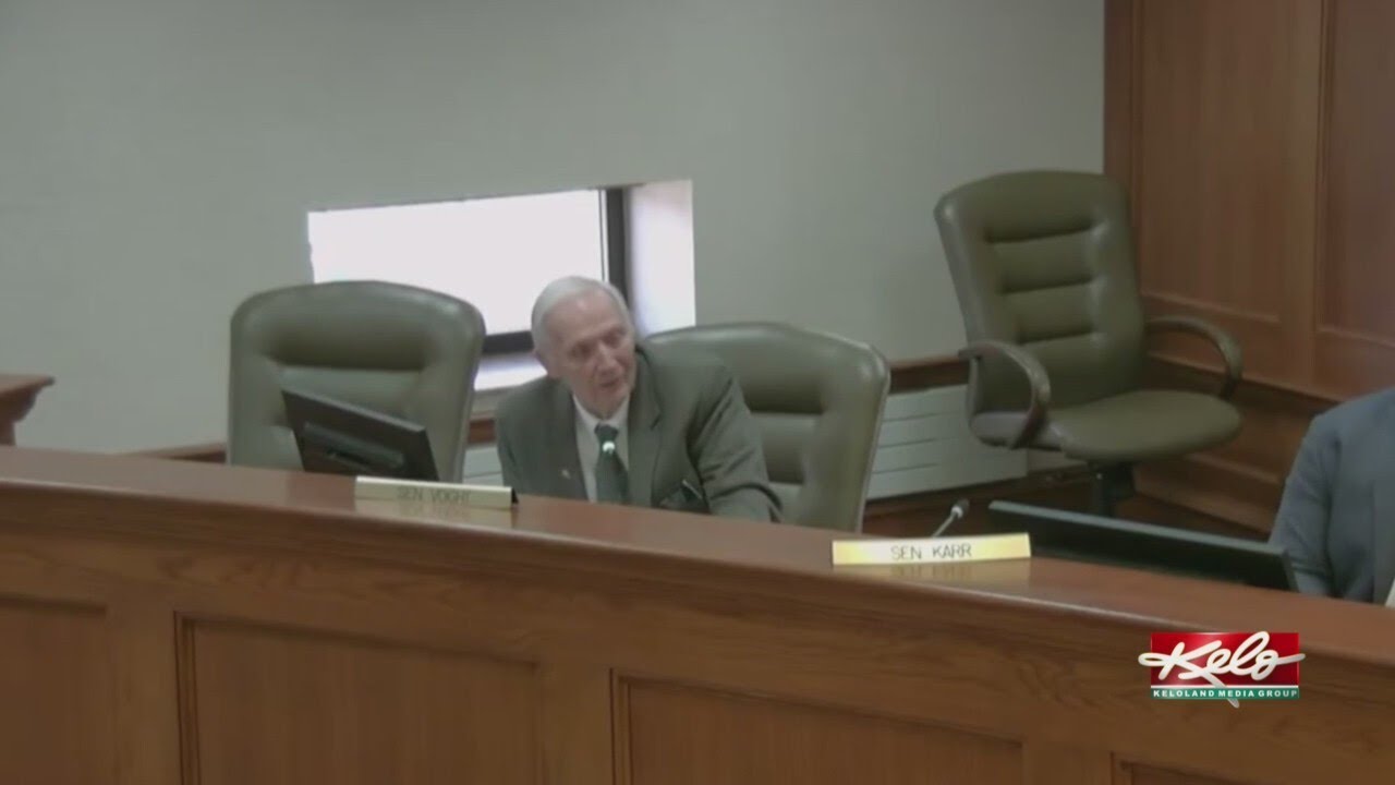 Senate committee rejects on-demand ballot printing