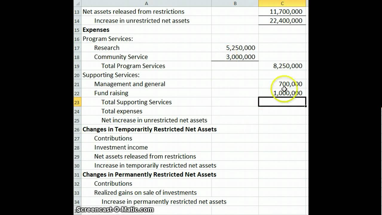 Statment of Activities Non-Profit