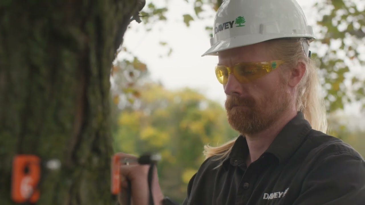 Utility Right of Way Tree Risk Assessment:  Sonic Tomography