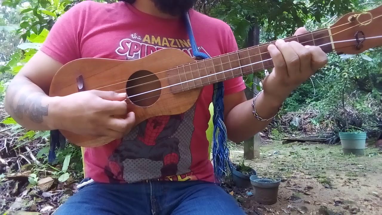 El pájaro Carpintero - Guitarra de son
