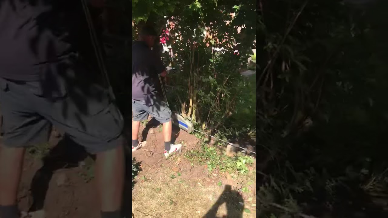 Tirfor hedge removal