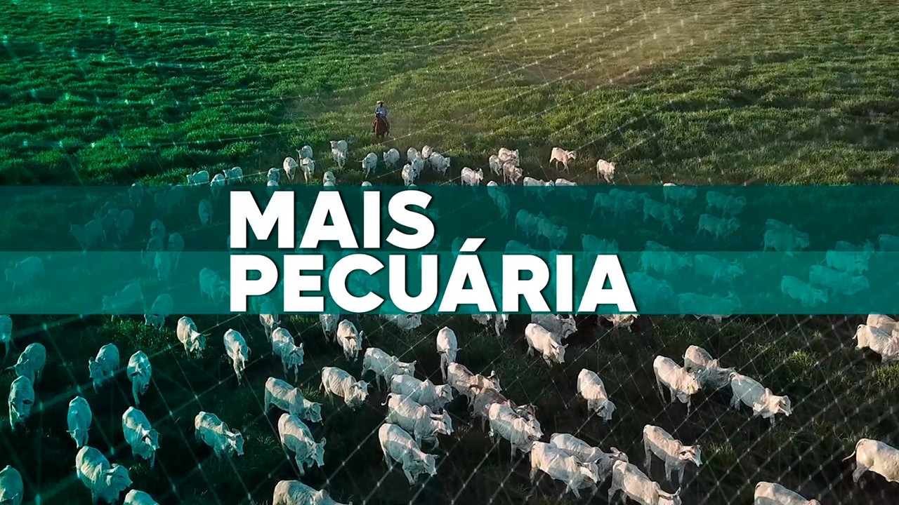 Mais Pecuária | 12/02/2026
