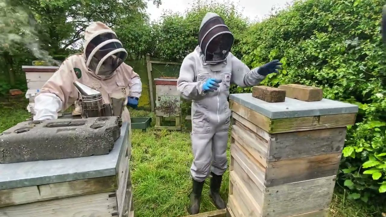 Queen rearing made simple.  Part 1  -  The Vertical split