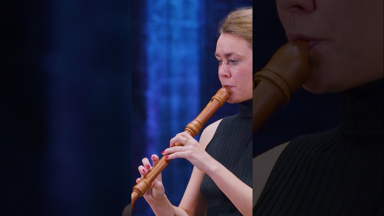 Telemann at noon! ☀️☀️☀️ #oboe #recorder #violin #telemann #baroque
