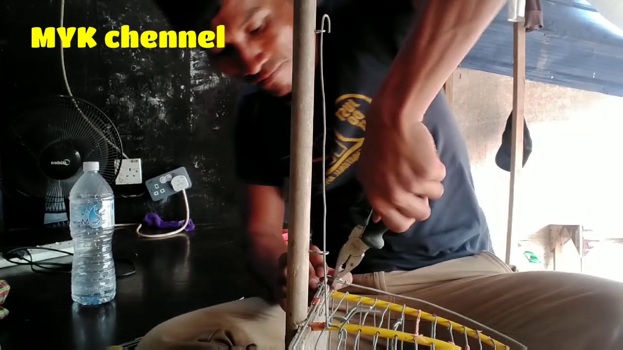 #caramembuatjebakanburung  cara membuat jebakan burung Kacer dan murai batu.